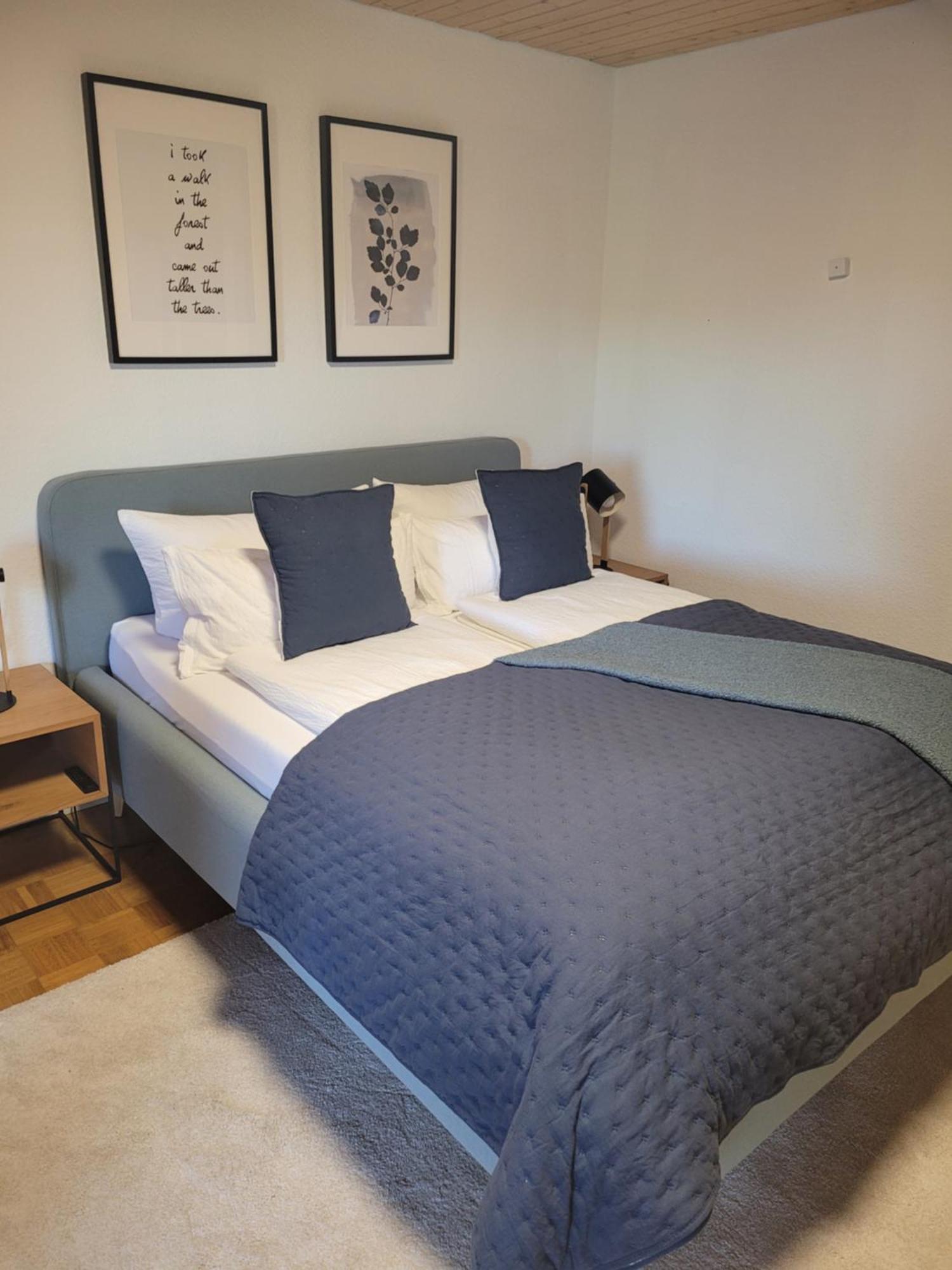 Ferienwohnung "High End" Höchenschwand Екстериор снимка